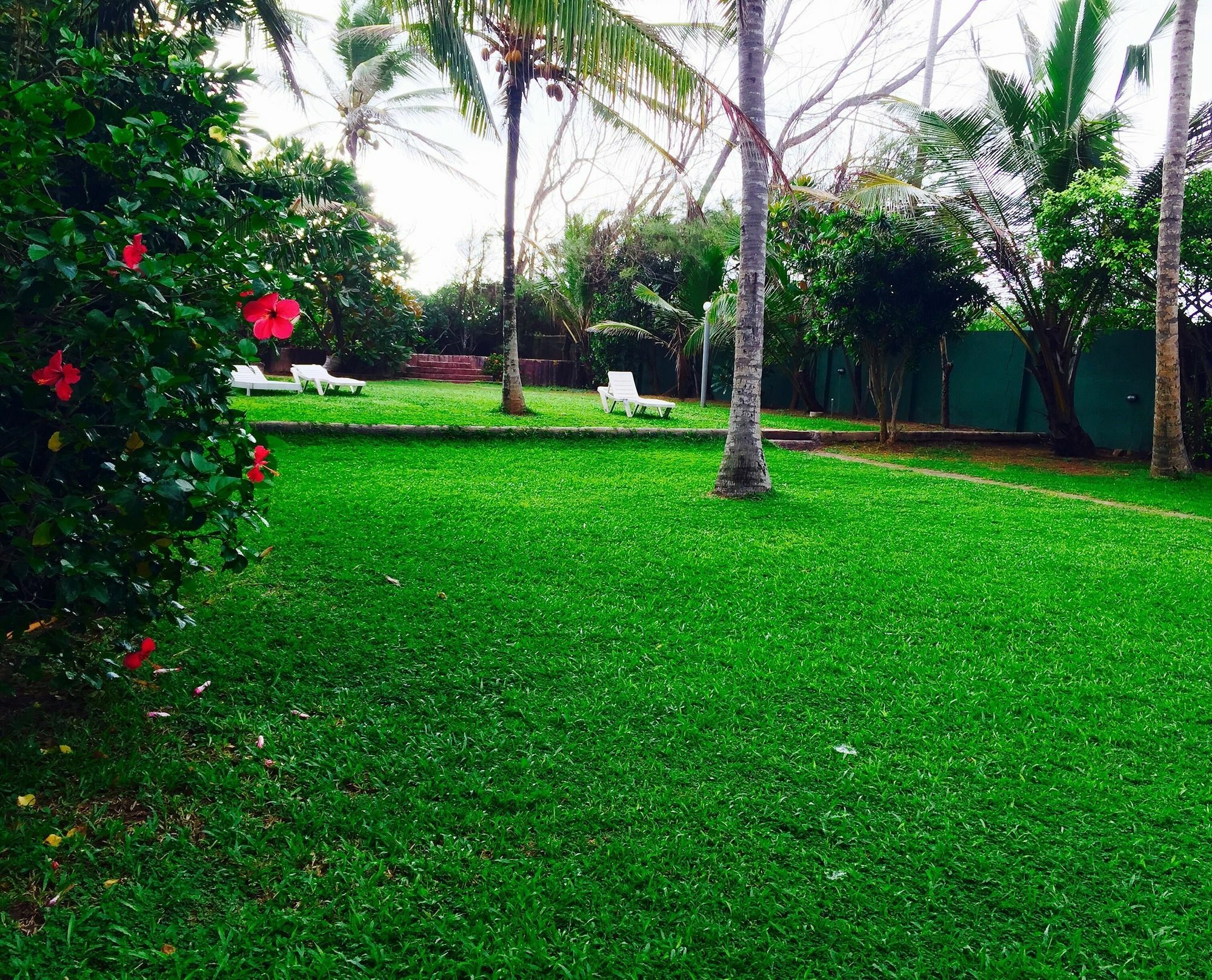 Ziegler Cottage Negombo Exterior photo